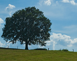 MINERGO